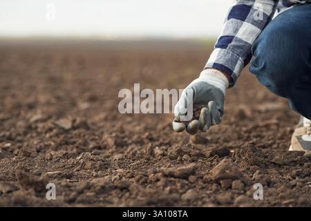 Nahaufnahme der Hand des Menschen in einem Handschuh, der Boden auf dem Ackerfeld hält. Stockfoto