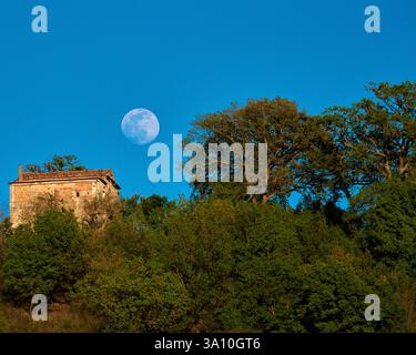 Der Vollmondaufgang über einem alten Bauernhaus aus Stein und üppigen grünen Bäumen in der Landschaft von Cosenza, Kalabrien, Italien. Stockfoto