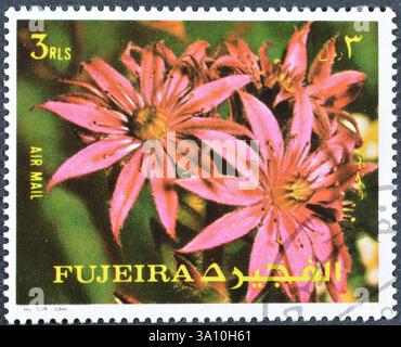 Gestempelte Briefmarke von Fujairah (Fujeira), die Blumen zeigt, um 1972. Stockfoto