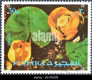 Gestempelte Briefmarke von Fujairah (Fujeira), die Blumen zeigt, um 1972. Stockfoto