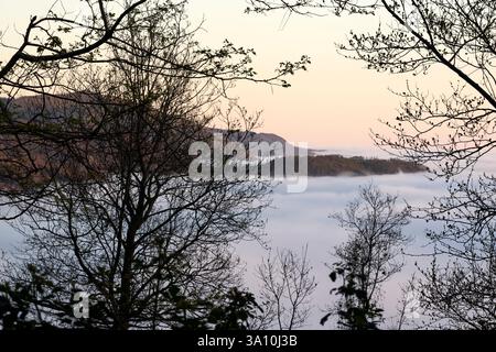 Wolkenmeer bedecken das Tal bei Sonnenaufgang, betrachtet durch Baumsilhouetten in den Bergen oberhalb von Paola, Kalabrien, Italien Stockfoto