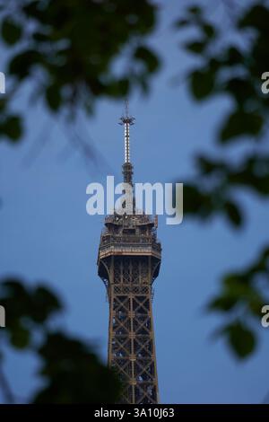 Der Gipfel des Eiffelturms wird im Sommer von grünen Blättern eingerahmt, Paris, Ile-de-France, Frankreich. Stockfoto