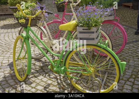 Farbenfrohe Fahrräder mit Blumen auf einem Pflastersteinpflaster unter der Sonne, kappeln, schlei, deutschland Stockfoto
