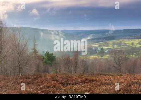 Moody Sky über Pennine Moorland, Hamsterley Forest, County Durham, England, Großbritannien. Stockfoto