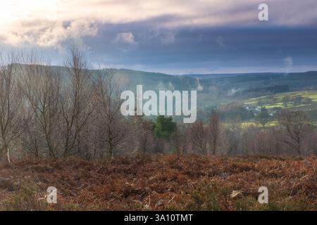 Moody Sky über Pennine Moorland, Hamsterley Forest, County Durham, England, Großbritannien. Stockfoto
