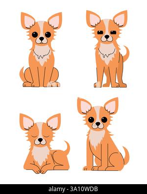 Set aus niedlichen langhaarigen Chihuahua-Hunden, die sitzend, stehend, liegend und entspannend posieren Ausdrücke entzückende kleine Hunderasse, flacher Minimalist Stock Vektor