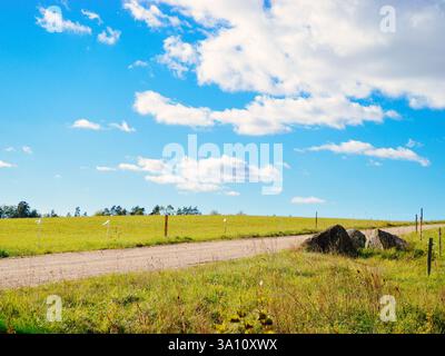 Eine unbefestigte Straße schlängelt sich durch ein grasbewachsenes Feld unter einem hellblauen Himmel mit flauschigen Wolken und schafft eine friedliche ländliche Szene. Stockfoto