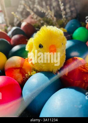 Ein süßes, flauschiges Küken sitzt auf einem Haufen bunter Ostereier, eine fröhliche Frühlingsszene. Stockfoto
