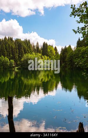 Landschaft des Sees im Wald. Vertikales Foto von Reise- oder Naturkonzept. Stockfoto