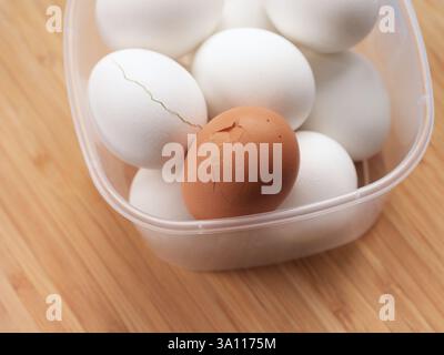 Zerbrochene hart gekochte Eier in einem Plastikbehälter. Nahaufnahme. Stockfoto