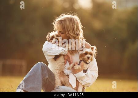 Die Hunde umarmen. Die junge Frau ist auf dem Sommerfeld. Stockfoto