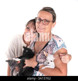Frauen, chihuahua und süßes Kätzchen vor weißem Hintergrund Stockfoto