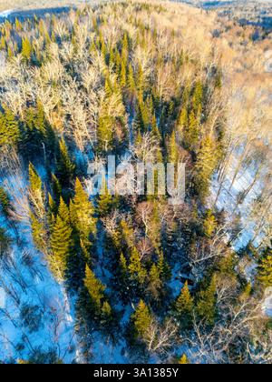 Kanada, Provinz Québec, Saint Michel des Saints, Wald (Luftaufnahme) Stockfoto