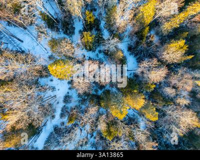 Kanada, Provinz Québec, Saint Michel des Saints, Wald (Luftaufnahme) Stockfoto