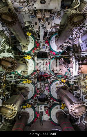 Frankreich, Morbihan, Lorient, Lorient La Base, ehemalige U-Boot-Basis, die von den Deutschen während des Zweiten Weltkriegs gebaut wurde, U-Boot Flore S645 in Dienst von 1964 bis 1989 und sein Museum, Torpedoröhre Stockfoto