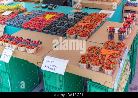 Ljubljana, Slowenien. Auswahl an Erdbeeren, Heidelbeeren, Brombeeren, Himbeeren und roten Johannisbeeren in Ljubljana Central Maket in Slowenien Stockfoto