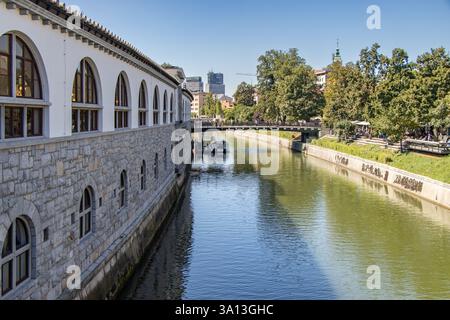 Ljubljanica und Metzgerbrücke im Hintergrund, Ljubljana, Slowenien Stockfoto