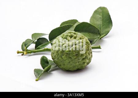 Frische Kaffir Lime (Citrus Hystrix) und Blätter auf weißem Hintergrund Stockfoto