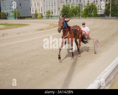 Wien, Österreich, 19. Juli 2023. Krieau Trab Track, auch bekannt als Trabrennplatz, historische Pferderennbahn, die Tradition und Moderne verbindet Stockfoto