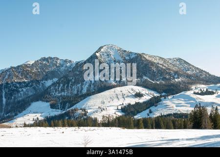 Malerische Winterlandschaft mit schneebedeckten Bergen, bedeckt mit Nadelwäldern unter einem hellblauen Himmel Stockfoto