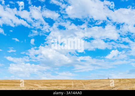 Landwirtschaftliche Landschaft mit einem Erntefeld unter Wolken und blauem Himmel, St-Cierges, Waadt, Schweiz Stockfoto