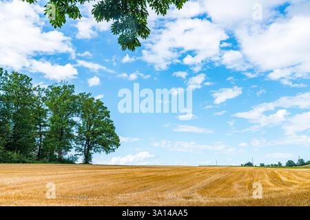Landwirtschaftliche Landschaft mit einem Erntefeld unter Wolken und blauem Himmel, St-Cierges, Waadt, Schweiz Stockfoto