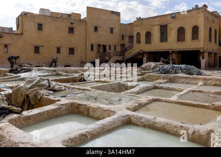 Die Gerberindustrie ist eine beliebte Touristenattraktion in Fès, Marokko, wo noch drei Gerbereien in der Altstadt betrieben werden. Stockfoto