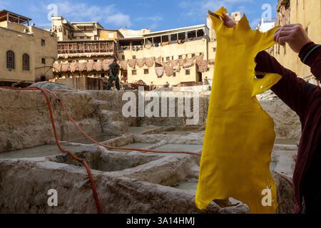 Die Gerberindustrie ist eine beliebte Touristenattraktion in Fès, Marokko, wo noch drei Gerbereien in der Altstadt betrieben werden. Stockfoto