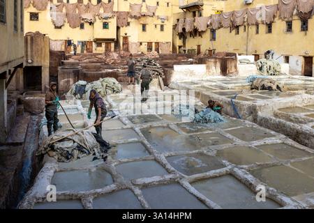 Die Gerberindustrie ist eine beliebte Touristenattraktion in Fès, Marokko, wo noch drei Gerbereien in der Altstadt betrieben werden. Stockfoto
