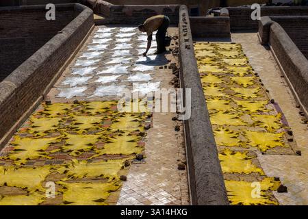 Die Gerberindustrie ist eine beliebte Touristenattraktion in Fès, Marokko, wo noch drei Gerbereien in der Altstadt betrieben werden. Stockfoto