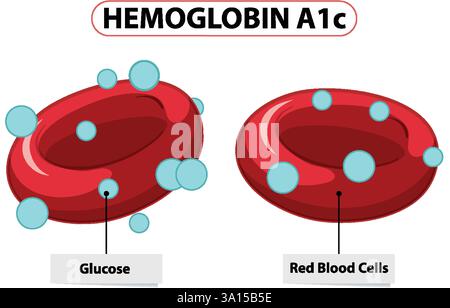Illustration der Interaktion von Glucose und Erythrozyten Stock Vektor