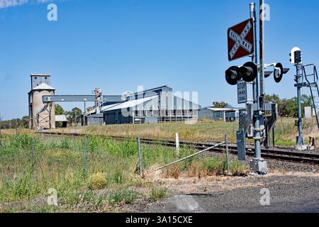 Der Warral Grain Silo-Komplex von Grain Corp in Tamworth, Australien. Stockfoto