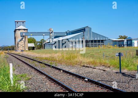 Der Warral Grain Silo-Komplex von Grain Corp an der Great Northern Railway in Tamworth, Australien. Stockfoto