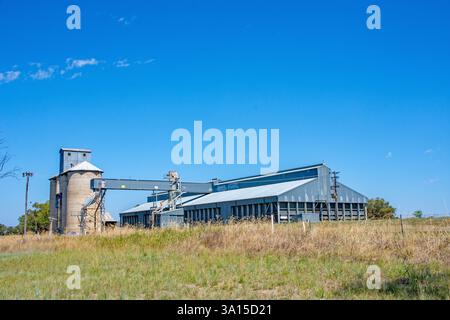 Der Warral Grain Silo-Komplex von Grain Corp in Tamworth, Australien. Stockfoto