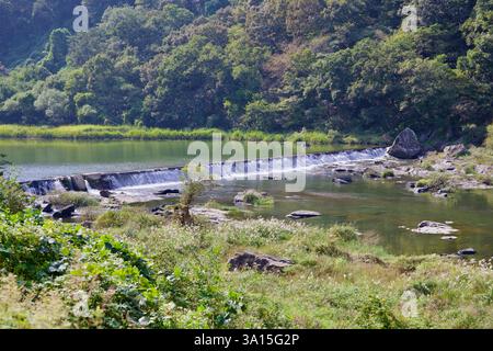 Imsil County, Südkorea - 4. Oktober 2021: Ein kleines Wehr entlang des Seomjin River fällt sanft über Felsen, umgeben von üppigem Grün und ruhigem Wasser Stockfoto