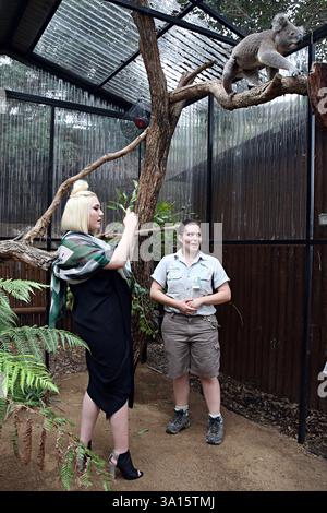 Sydney, Australien. März 2014. SYDNEY, AUSTRALIEN - 24. MÄRZ: Hayley Hasselhoff machte am Montag eine Pause von ernsthaftem Geschäft, um am 24. März 2014 im Taronga Park Zoo in Melbourne, Australien, Spaß zu haben Leute: Hayley Hasselhoff Credit: Storms Media Group/Alamy Live News Stockfoto