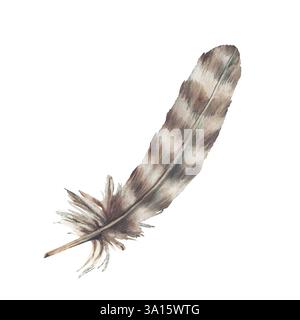 Vogelfeder beige, braun, pastellfarbene und natürliche Ornamente echte Flügel Aquarell realistische handgezeichnete Illustration. Dekorationszubehör für Stockfoto