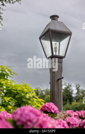 Eine rustikale Holzlaterne mit einer verwitterten Glaslaterne steht vor einem bewölkten Himmel. Rosa Hortensie blühen im Vordergrund, während sattes Grün Stockfoto