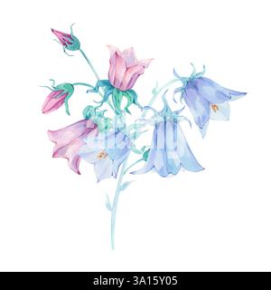 Blumenarrangements. Tulpen. Aquarell. Blumenstrauß Stockfoto