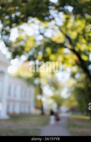 Ein paar gemütliche Spaziergänge entlang eines gewundenen Pfades, umgeben von hohen Bäumen, die mit goldenen und roten Blättern geschmückt sind. Das Sonnenlicht wird durchfiltert und erzeugt ein WA Stockfoto