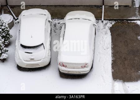 Zwei geparkte Autos sind mit Neuschnee bedeckt, was eine ruhige Winterlandschaft schafft. Die Umgebung ist ruhig, mit einer leichten Schneestäubung auf dem gr Stockfoto
