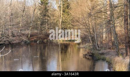 Landschaft mit Bäumen am Ufer am gefrorenen Teich im Winterwald, in hellem Licht aufgenommen im öffentlichen Park bei Stuttgart, Baden Wuttenberg Stockfoto
