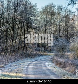Landschaft mit gefrorener Landstraße im Winterwald, in hellem Licht aufgenommen im öffentlichen Park bei Stuttgart, Baden Wuttenberg, Deutschland Stockfoto
