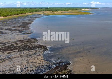 Frankreich, Charente-Maritime, Royan, Les Mathes, Bonne Anse Bay bei Ebbe (Luftsicht) Stockfoto