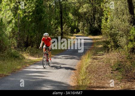 Frankreich, Charente-Maritime, Royan, Les Mathes, Radfahrer auf der Vélodyssée, dem EuroVelo1-Radweg, der nördlich von La Palmyre am Atlantik verläuft Stockfoto