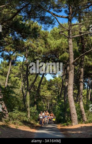 Frankreich, Charente-Maritime, Royan, Les Mathes, Radfahrer auf der Vélodyssée, dem EuroVelo1-Radweg, der nördlich von La Palmyre am Atlantik verläuft Stockfoto