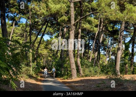 Frankreich, Charente-Maritime, Royan, Les Mathes, Radfahrer auf der Vélodyssée, dem EuroVelo1-Radweg, der nördlich von La Palmyre am Atlantik verläuft Stockfoto
