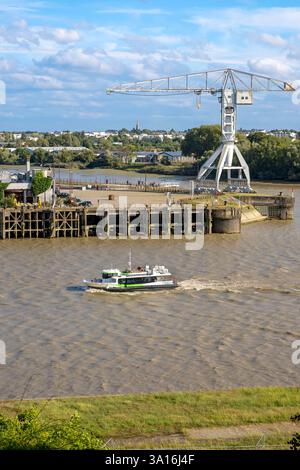 Frankreich, Loire Atlantique, Nantes, Ile de Nantes, der Navibus, der vor dem Banana Hangar am Ufer der Loire vorbeifährt, der graue Titankran im Hintergrund, von den Höhen von Chantenay gesehen Stockfoto