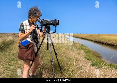 Frankreich, Charente Maritime, Saintonge, Saint-Froult, Moeze-Oléron Naturschutzgebiet im Marschgebiet Brouage, Vogelbeobachtung und Besuch des Naturschutzgebiets auf den Wanderwegen mit Nathalie Bourret vom LPO Stockfoto
