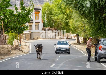 Indien, Ladakh Staat, Trans-Himalaya, Motorradtour auf Royal enfield von Lamayuru nach Leh, Straße zwischen Srinagar - Leh, Dorf Saspul Stockfoto